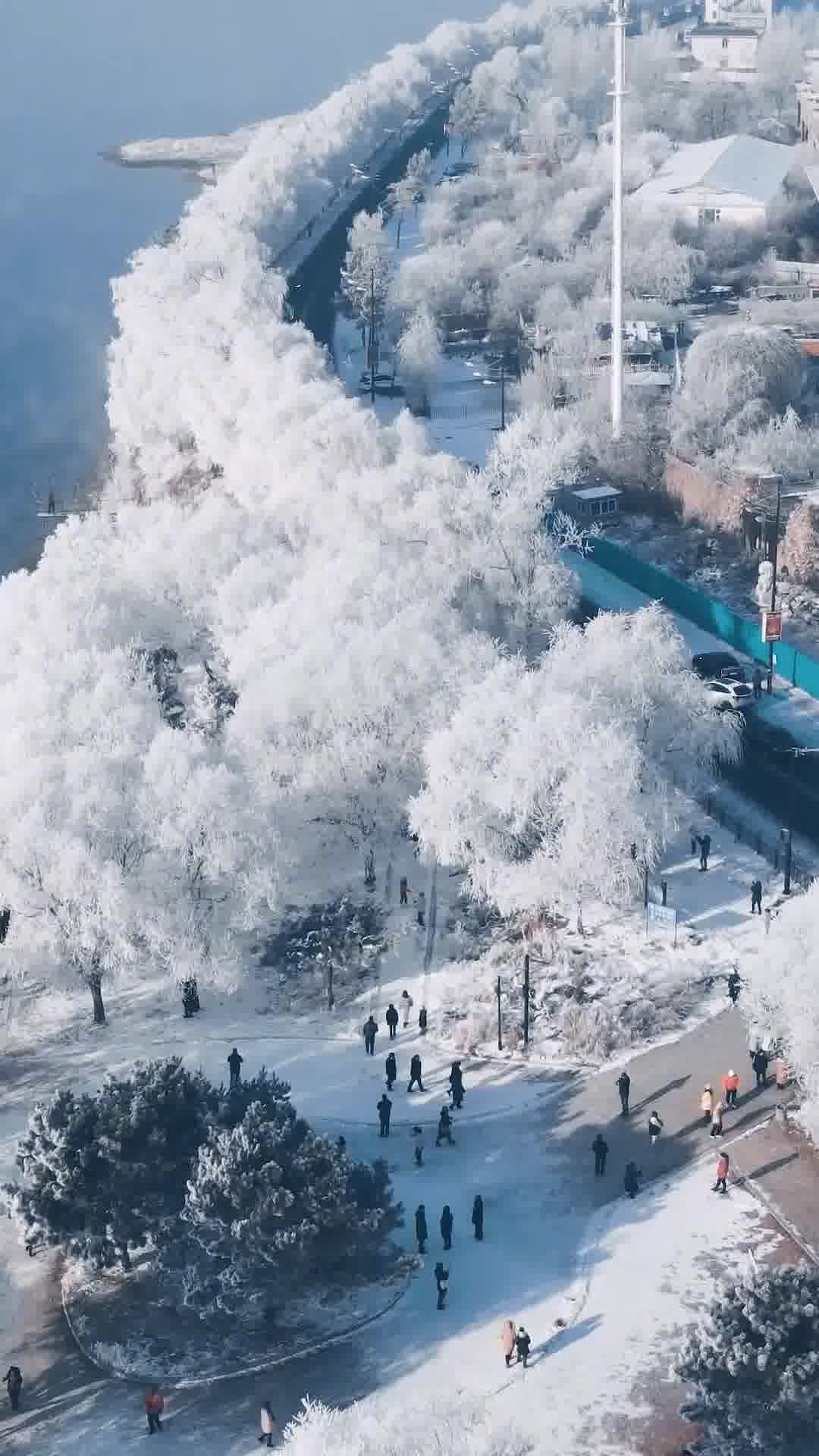 吉林，东北明珠的黑土地风情散文