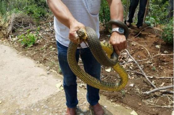 河南，千年古韵与现代化交响的璀璨之地