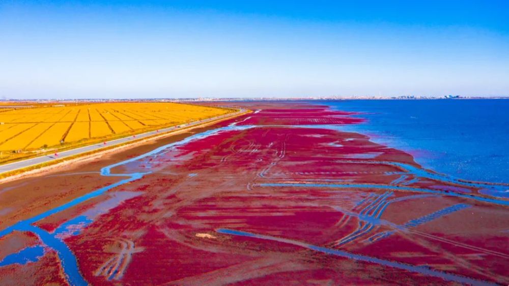 盘锦崛起之路，探寻辽宁生态新明珠的蜕变之旅